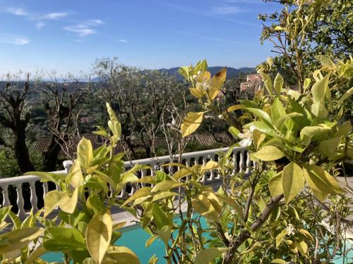 les petites terrasses