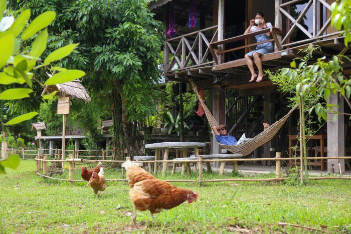 hangtueng farmstay chiang mai