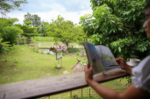 hangtueng farmstay chiang mai