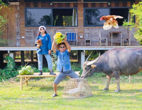 hangtueng farmstay chiang mai