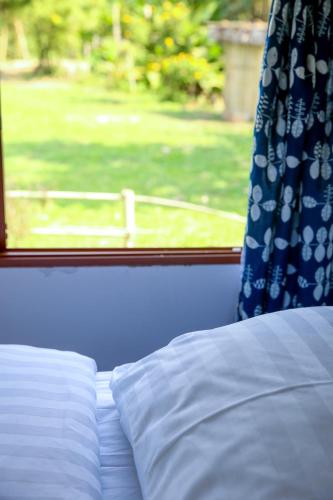 hangtueng farmstay chiang mai