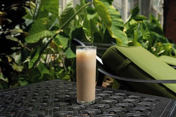 bourbon orleans hotel