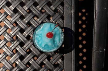 bourbon orleans hotel