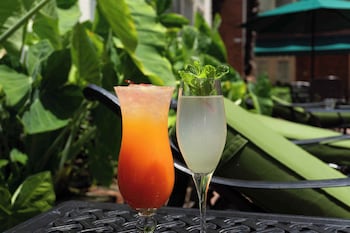 bourbon orleans hotel