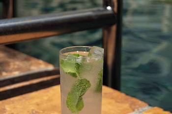 bourbon orleans hotel