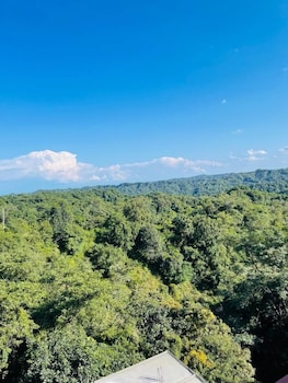 paradise woodland resort chintpurni