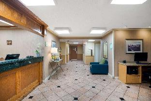 la quinta inn and suites by wyndham jackson