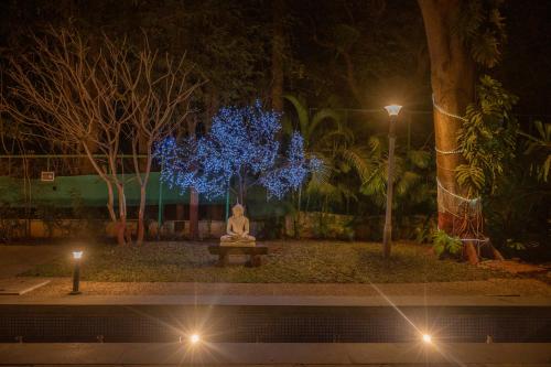 ama stays and trails butterfly villa deolali nashik