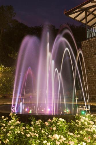 ama stays and trails butterfly villa deolali nashik