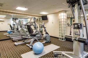 monte carlo inn oakville suites