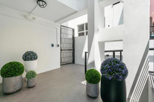 casa sobe