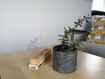 Nest Holiday Home,,3 star