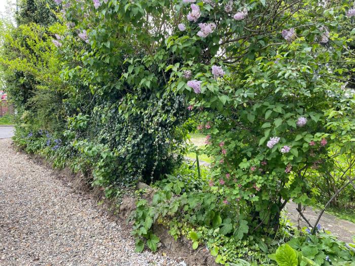 london studios and suites