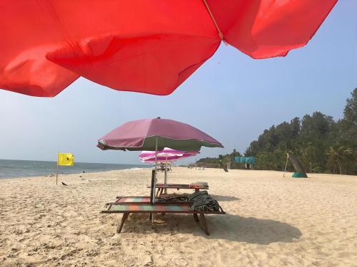 Alleppey Haven Homestay,,4 star