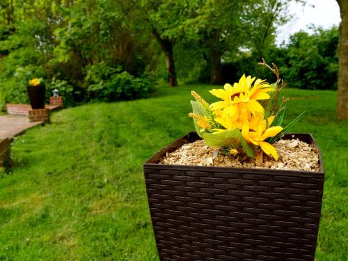 deluxe 1 bed versace hottub skytv