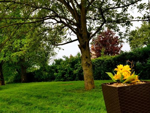 deluxe 1 bed versace hottub skytv