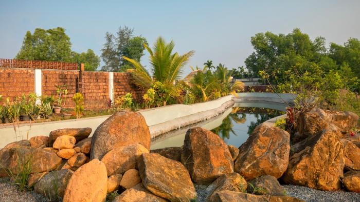 ama stays and trails vivid foliage kasargod mangalore