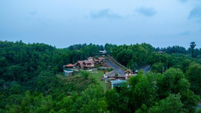 ama stays and trails vivid foliage kasargod mangalore