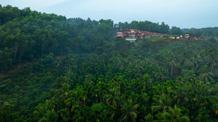 ama stays and trails vivid foliage kasargod mangalore