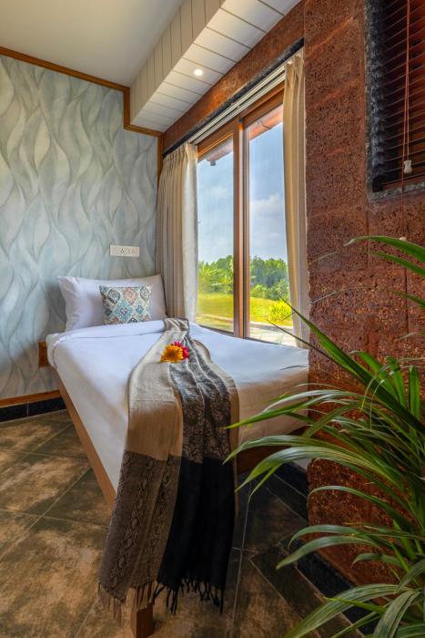 ama stays and trails vivid foliage kasargod mangalore