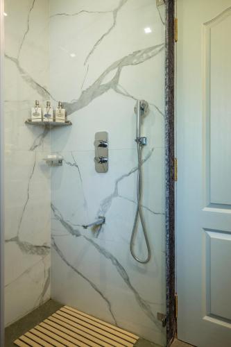 ama stays and trails vivid foliage kasargod mangalore