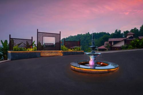 ama stays and trails vivid foliage kasargod mangalore