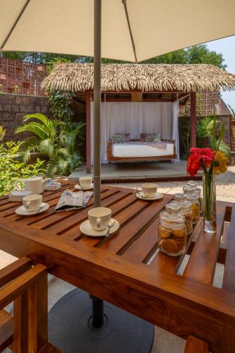 ama stays and trails vivid foliage kasargod mangalore