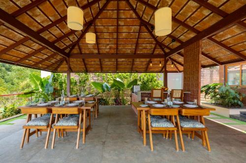 ama stays and trails vivid foliage kasargod mangalore