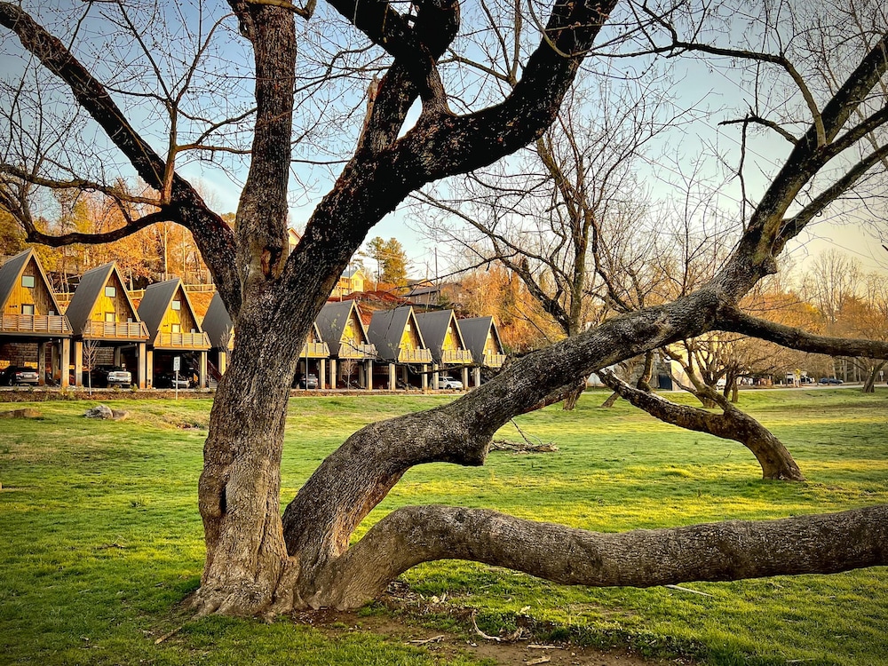 wrong way river lodge and cabins