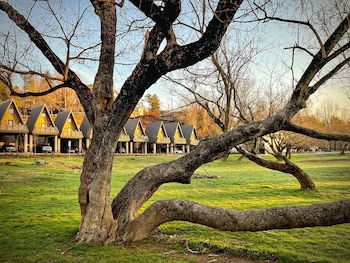 wrong way river lodge and cabins