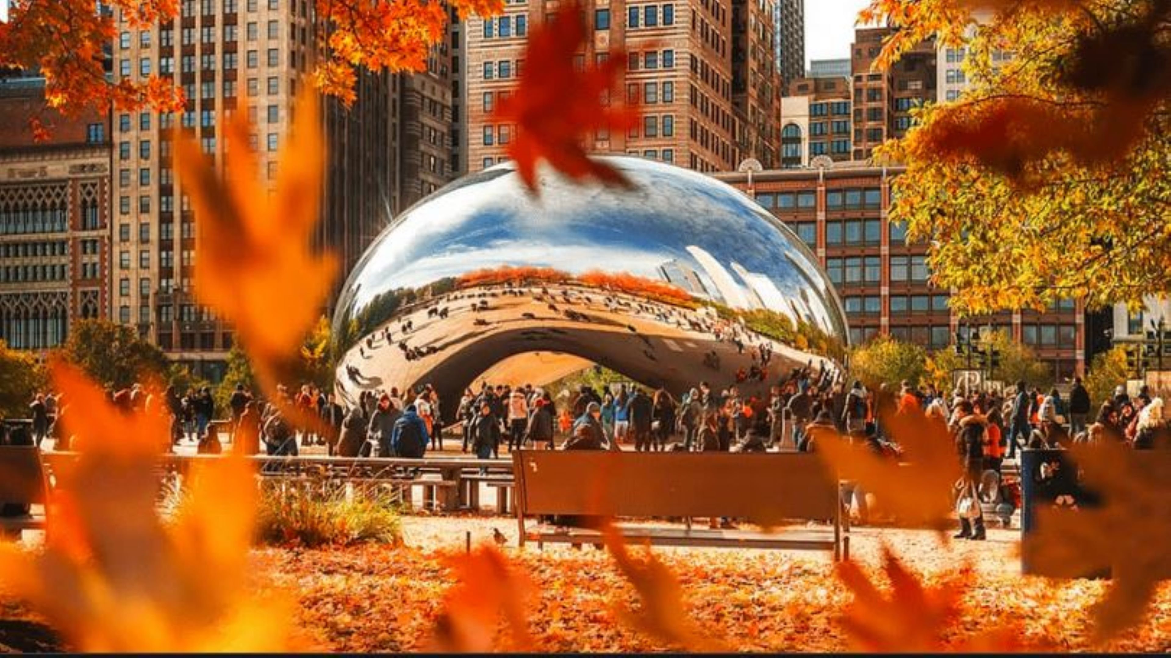staybridge suites chicago oakbrook terrace by ihg