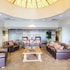 quality inn and suites