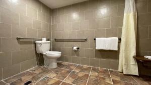 hotel d lins ontario airport