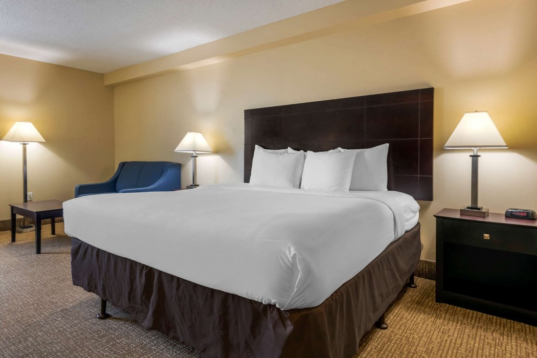 comfort inn international drive