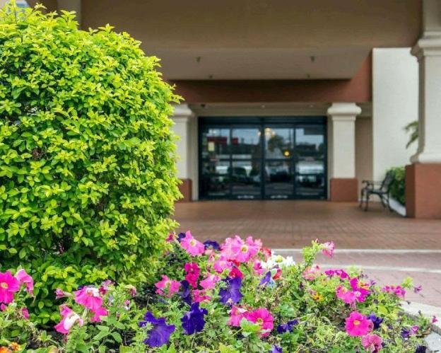 comfort inn international drive