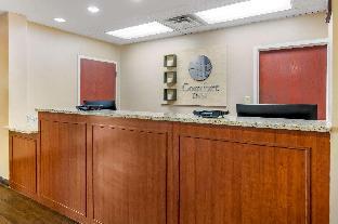 comfort inn international drive
