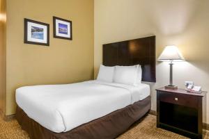 comfort inn international drive