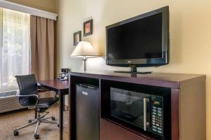 comfort inn international drive