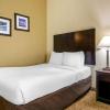 comfort inn international drive
