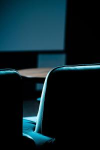 first hotel grims grenka