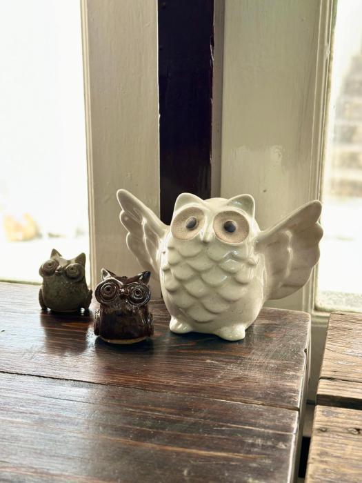 sleep owl chiang mai