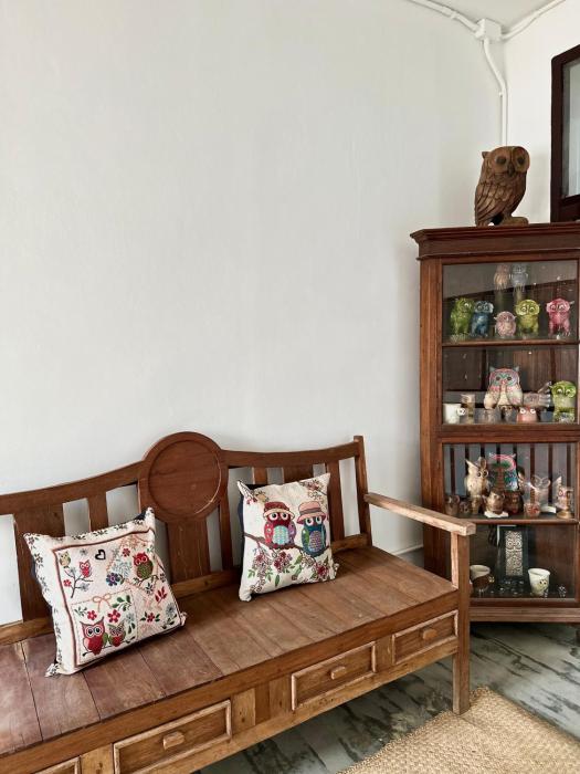 sleep owl chiang mai