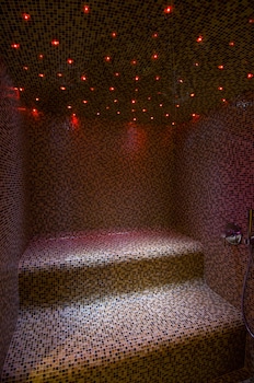 intercontinental paris le grand by ihg