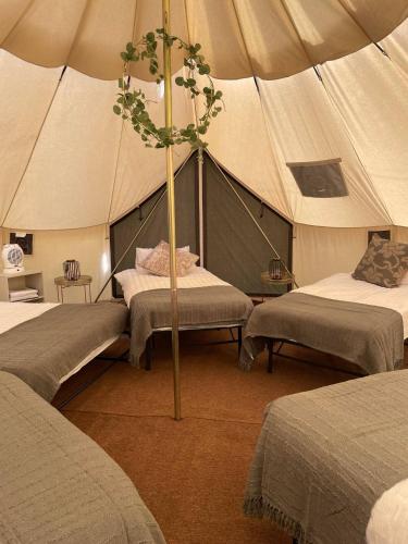 bell tent village
