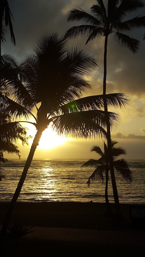 kapaa