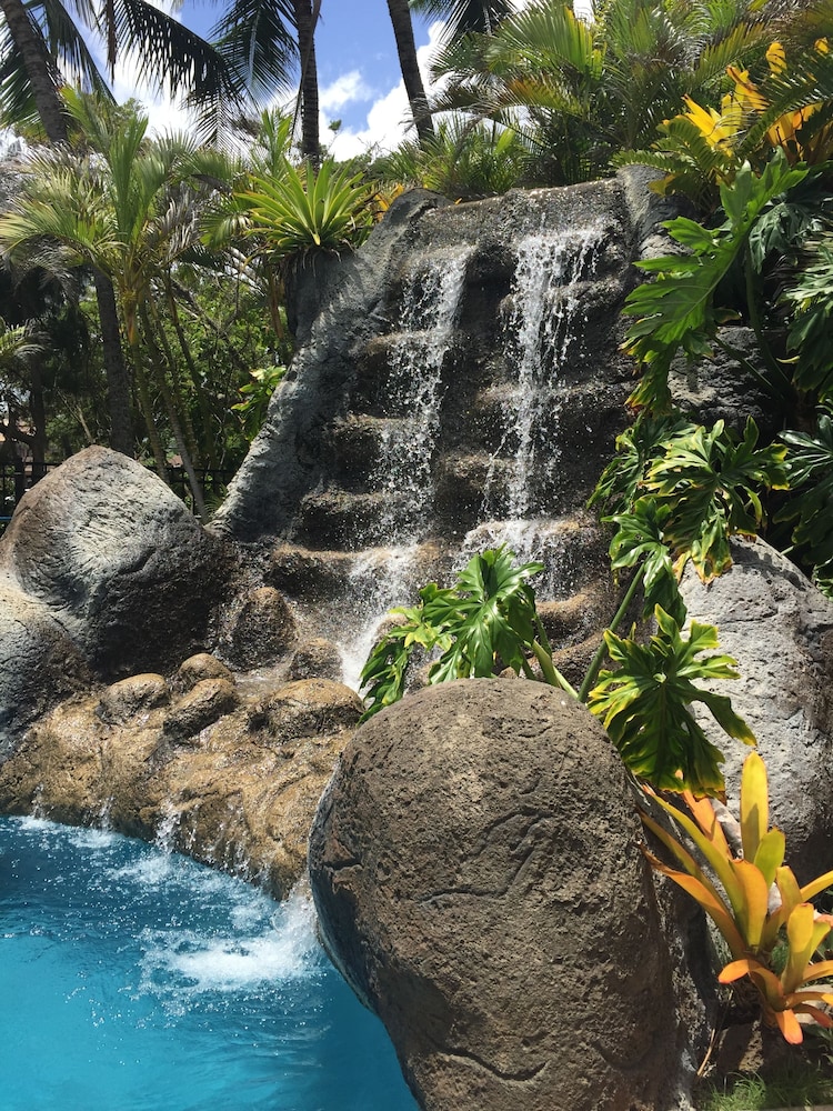 hotel coral reef