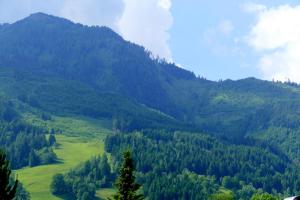 hotel gasthof mitteregger