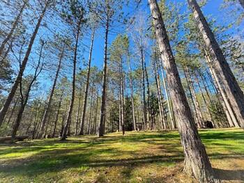 boyers pond campground