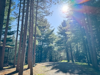 boyers pond campground