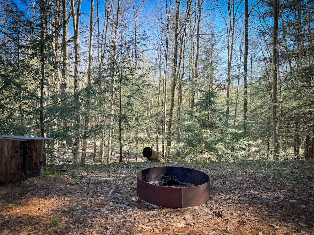 boyers pond campground